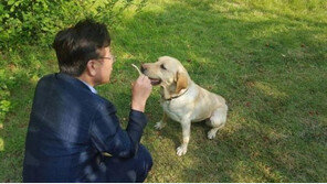 성남시 반려동물문화센터, 보호와 문화 양대축으로