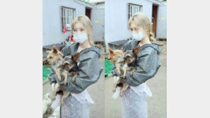 '유기동물 수호천사' 배다해, 대학 강단에 선다