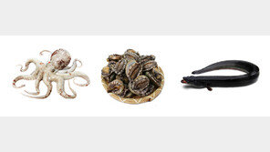 여름 보양식의 왕, 삼계탕보다 해산물?