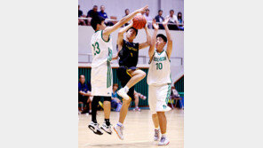 [스포츠 7330] 전주-지바현, 양국 오가며 5개 종목 합동훈련