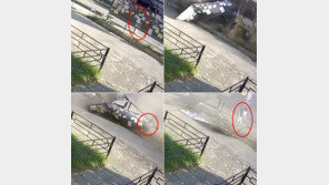 [영상]폭주 버스 돌진에 정류장 산산조각…버스 기다리던 女 ‘구사일생’