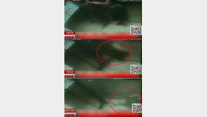 공포의 엘리베이터 사고, 몇 초만에 28층 급상승…탑승자 공중으로 치솟았다가 내동댕이 ‘충격’