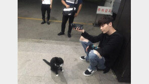 ‘W’ 이종석 일상 사진, 고양이 바라보는 눈빛도 ‘달달’