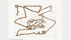 로봇청소기가 물컹한 개똥을 청소했을때