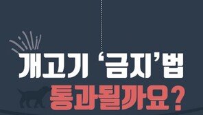 [Magazine D/카드뉴스]‘가족’을 어떻게 잡아먹냐고?