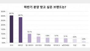 하반기 분양 받고 싶은 아파트 브랜드 1위 ‘자이’