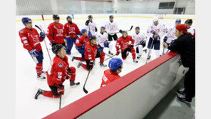 아이스하키 대명, 창단 첫 시즌 선수단 구성 완료