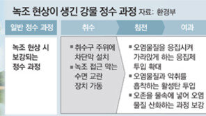 번지는 녹조 불안감… “수돗물 괜찮나요?”