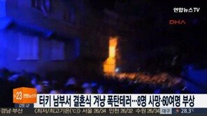 터키 한 결혼식장서 폭탄테러, 수십 명 사상자 발생…배후는?