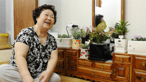 강아지 대신 허브… ‘반려식물’ 키워요