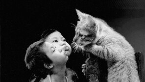 세계 사진작가들의 대축제, 22~28일 서울-경주서 열려