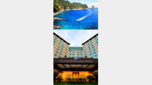 [여행, 나를 찾아서]제주 서귀포, 그리고 울릉도… 미처 못 가본 우리 땅으로 가을 여행을 