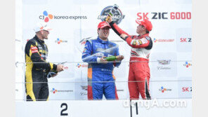 [2016 슈퍼레이스 in 고텐바]사진으로 본 스톡카 레이스 6차전