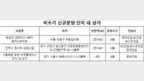여름 비수기 단지 내 상가 분양 ‘눈길’