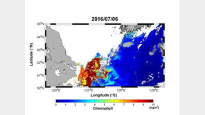 ‘제주 해역 어패류 폐사’ 중국발 저염분수, 국내 해역으로 확산