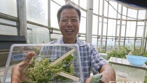 아이들에 생명 가르치는 ‘물벼룩 할아버지’