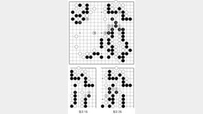 [바둑]역대 국수전 우승 결정국… 신바람