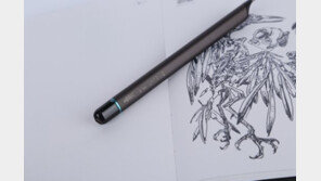 해외에서 통하는 만화 그리는 예술가 '김정기 작가'