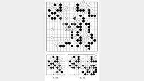 [바둑]역대 국수전 우승 결정국… 흑의 묘기