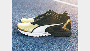 [Q매거진]올 가을엔 운동할거야, 폼나게… 