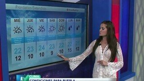 여성 기상캐스터 어떤 옷 입고 나왔기에…또 의상 선정성 논란