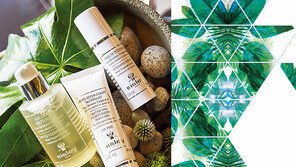 레진느 뜨로삐깔 BY sisley