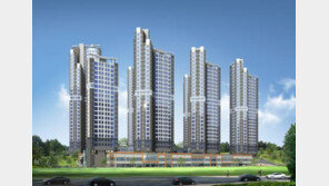 [화제의 분양현장]하늘 높은 줄 모르고 치솟는 경쟁률, 프리미엄도 고공행진