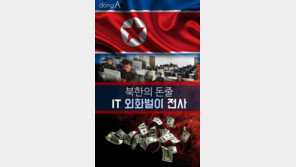 [카드뉴스]‘북한의 돈줄’ IT 외화벌이 전사