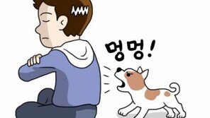 시도 때도 없이 짖는 강아지 훈련법!