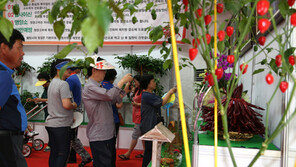 “1000배 더 매운 고추 보러 오세요”