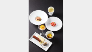 접시 위 작은 우주