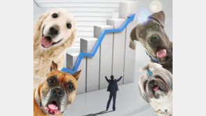 '뜨거운 반려동물 사랑'..승승장구하는 펫회사 주가