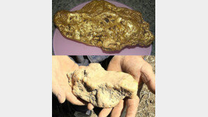 취미로 금 찾던 호주 남성, ‘4kg 금덩이’ 발견 횡재
