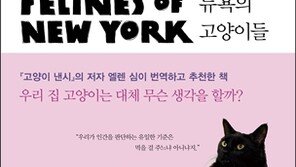 ‘뉴욕의 고양이들’