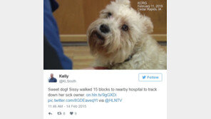 타임誌가 선정한 10대 영웅犬