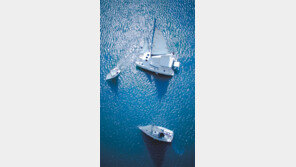 [Feeling]푸른 바다 시원한 바람, 세일링은 자유다