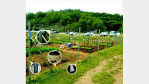 [Economic Review]최고의 기술력과 품질을 갖춘, 최고의 휀스 기업 