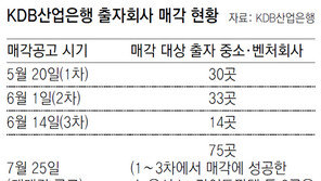 [단독]産銀, 출자회사중 98곳 패키지로 묶어 판다 