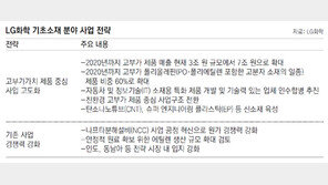 LG화학 “고부가 제품 늘려 공급과잉 선제대응”