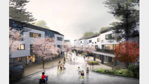 단독주택 몸값 껑충… 대기업도 분양 채비