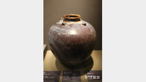 늘어선 2만여점 신안유물… 보물창고의 회랑을 걷는 느낌