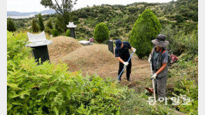 “추석 앞두고 벌초 왔습니다”