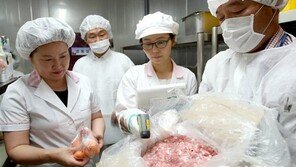 식중독, 폭염 꺾였다고 만만히 보면 큰일 나요