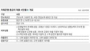 서민엔 문턱 너무 높은 ‘사잇돌 대출’