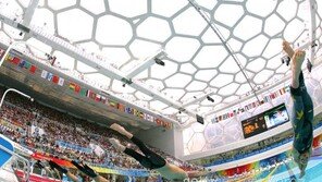 [취재파일] 리우 참패 이어 몰카까지…요지경 한국 수영