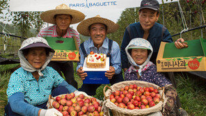 포털 탄 계란-싱싱 딸기크림빵 대박… 대기업-농가, 행복한 만남