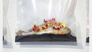 리모델링 중에 여는 소장품 회고전