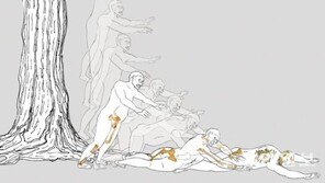 최초 인류 화석 ‘루시’의 사망원인은 추락사