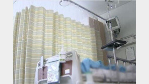 거제서 해산물 섭취 세번째 콜레라 환자 발생…거제 시민들 ‘한숨’