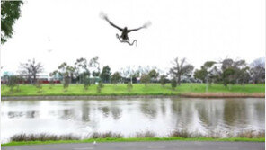 고기 구워먹던 가족에 뱀 ‘뚝’ 떨구고 날아간 매 영상…진짜? 조작?